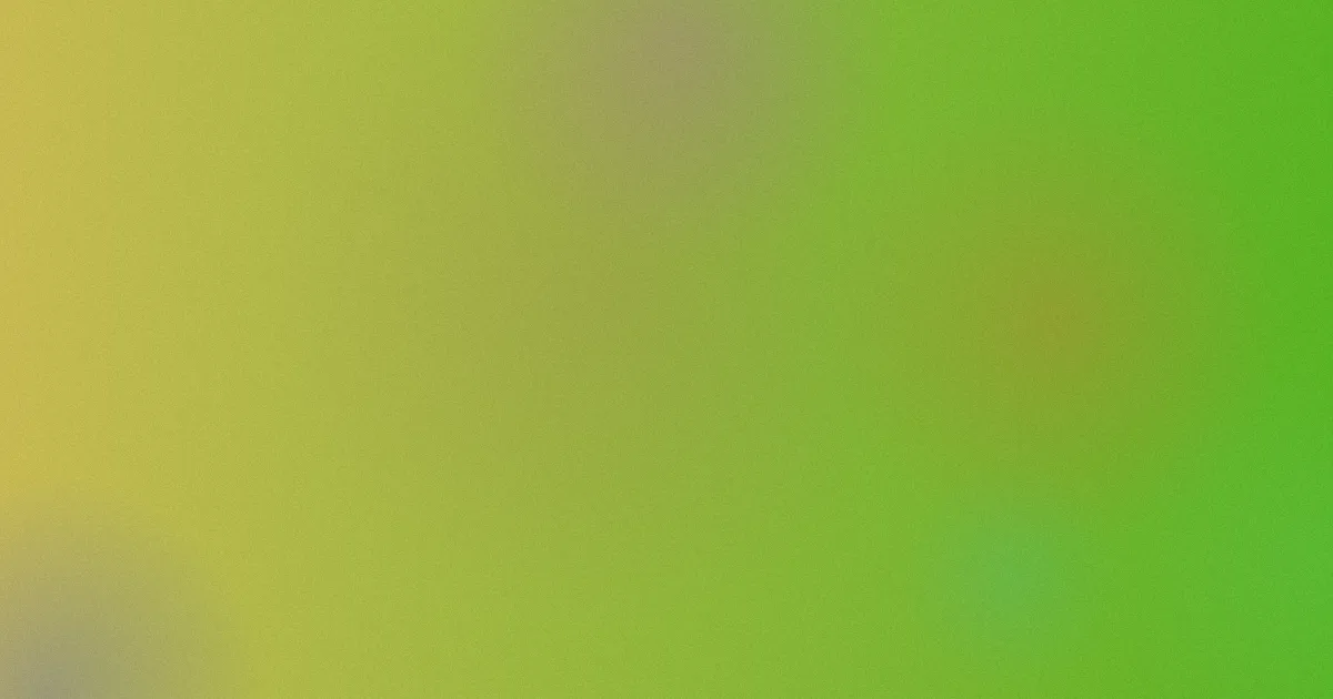 樱花之恋是什么？一文说清